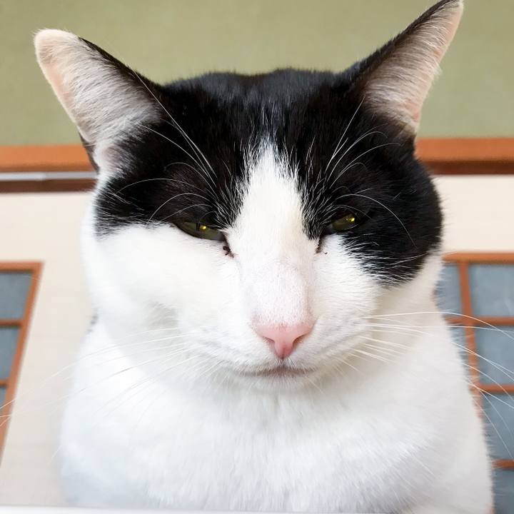 75871721 c0b5 443e 80da fe824eb806f8 1513989689868