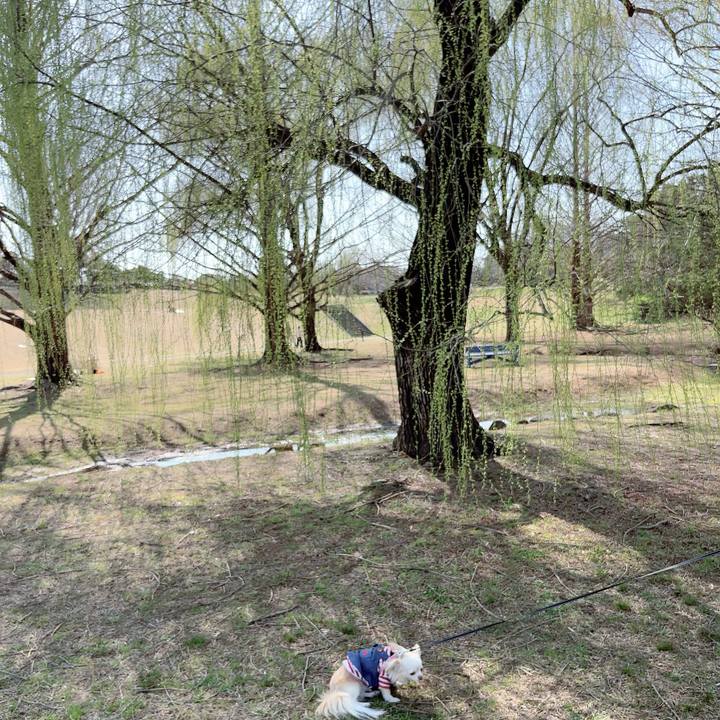 75874899 0cbb 4751 a14a 3c54e13b4f4a 1710582862394