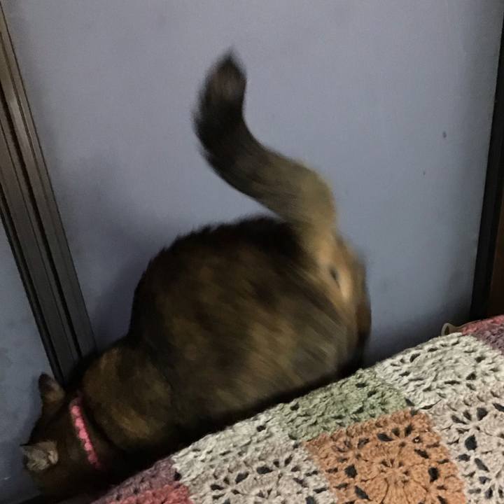 75874bc9 995d 4ea9 a040 ff3931fa91c7 1730626466975