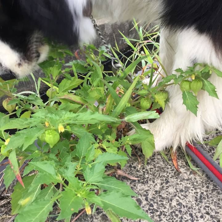 75875e6a 9c55 4ecc ab53 d462845b9b39 1566088962030