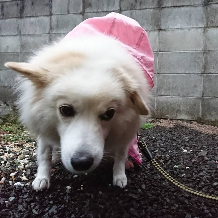 75876b42 2e67 4f57 b984 d5a8f9201a9a 1508363074604