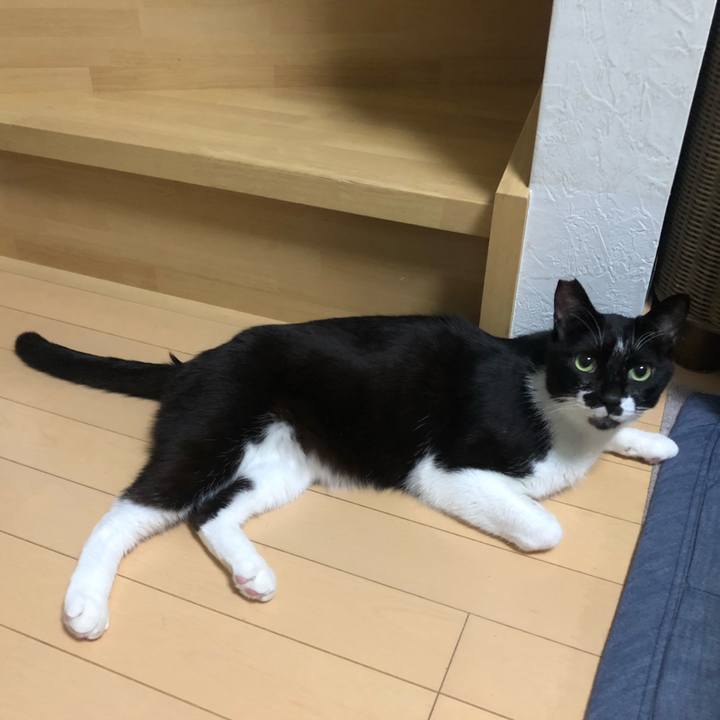 7587849e 1bca 40bc af12 6e0c8c81c2e4 1626810461442