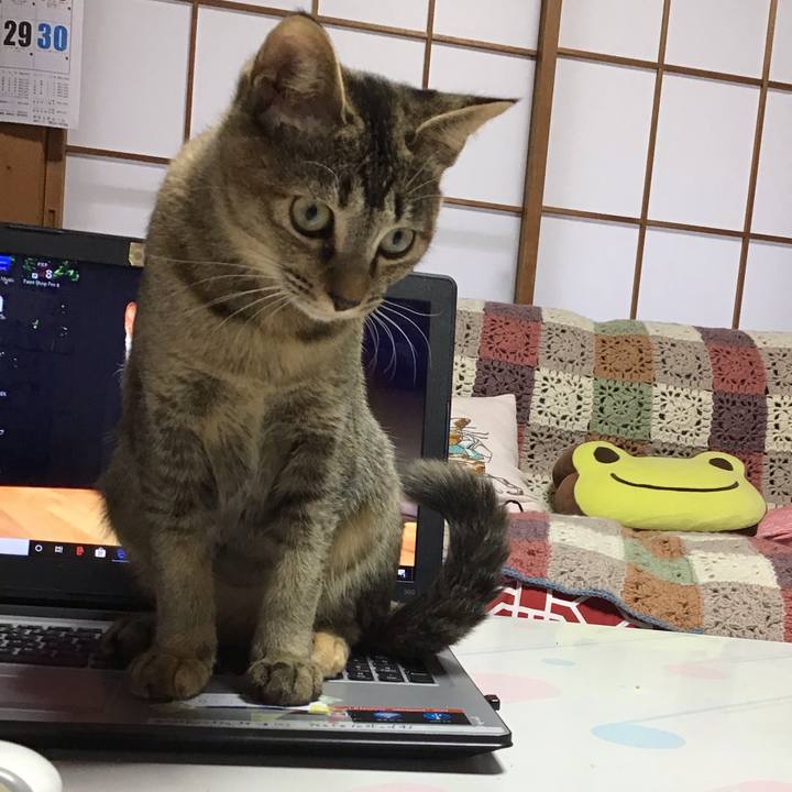 7587866d 8125 474b 86c9 a727e56f441a 1574901697256