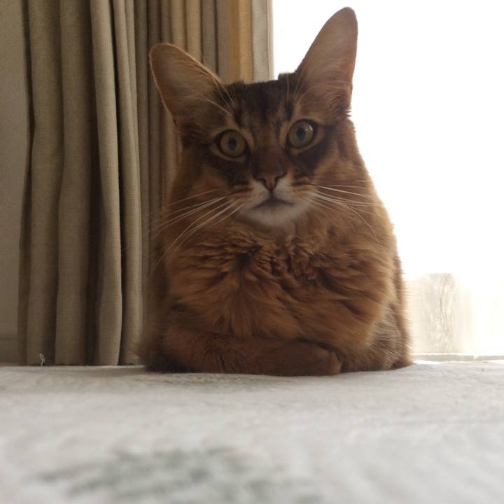 758797f0 672c 49a2 bf5b 0cfe3e6fa60c 1615789648293