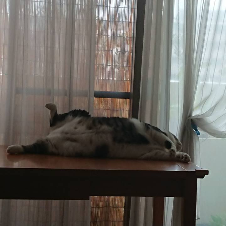 75879a52 fcbb 45c5 8b40 dd7835792ca5 1563606760827