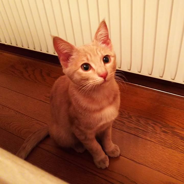 7587dd74 23e2 4262 8ece ccac227fe1fe 1543498324821