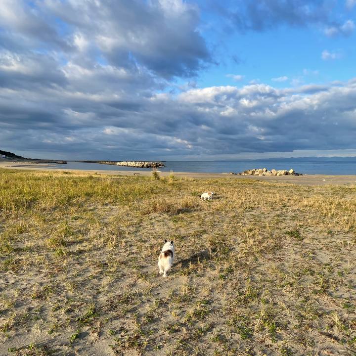 7587f3c8 bf19 423a bc82 5d402ea6e582 1761196007922