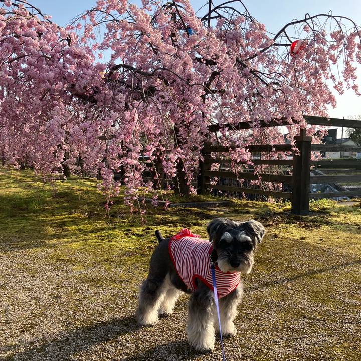 75880242 0b21 4f56 bea9 ce55a2598e06 1713272606703