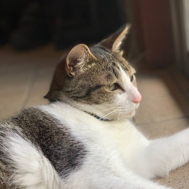 7588172c 45d7 40c7 882b a1b100aae65a 1565677090935