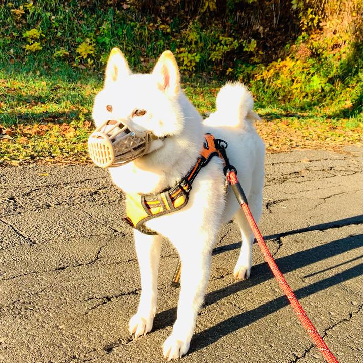 75884f7f f30a 49a3 9524 7d4896b8e2c4 1636153873931