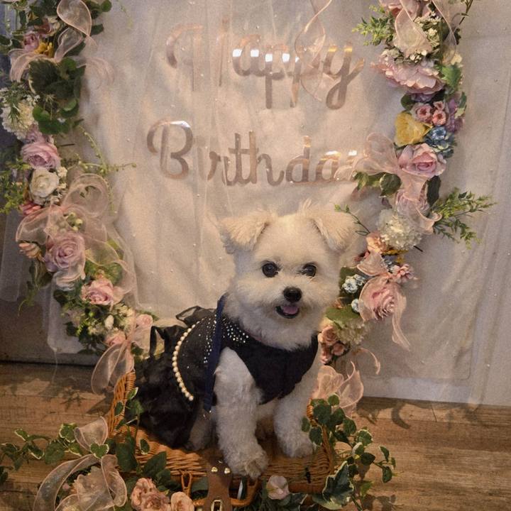 75885f7e d7c3 4316 bc7b aba1944d87ab 1761916457658