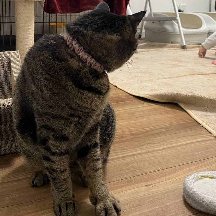 7588614a 22a7 4b5d 9a77 932fae10097b 1764504520138