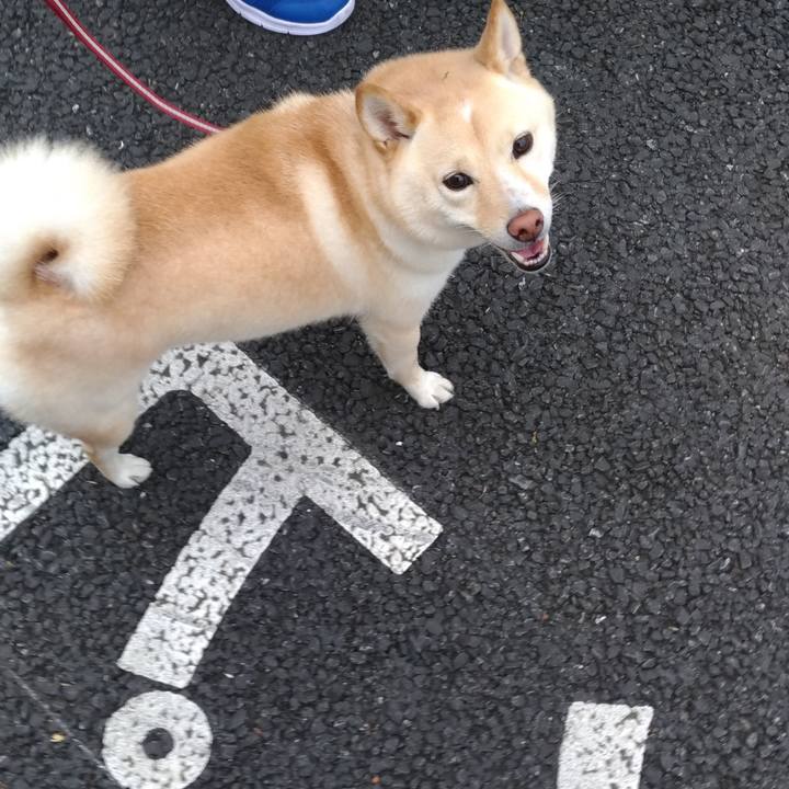 75887943 9242 4293 ad31 71b3b9226110 1601766691982