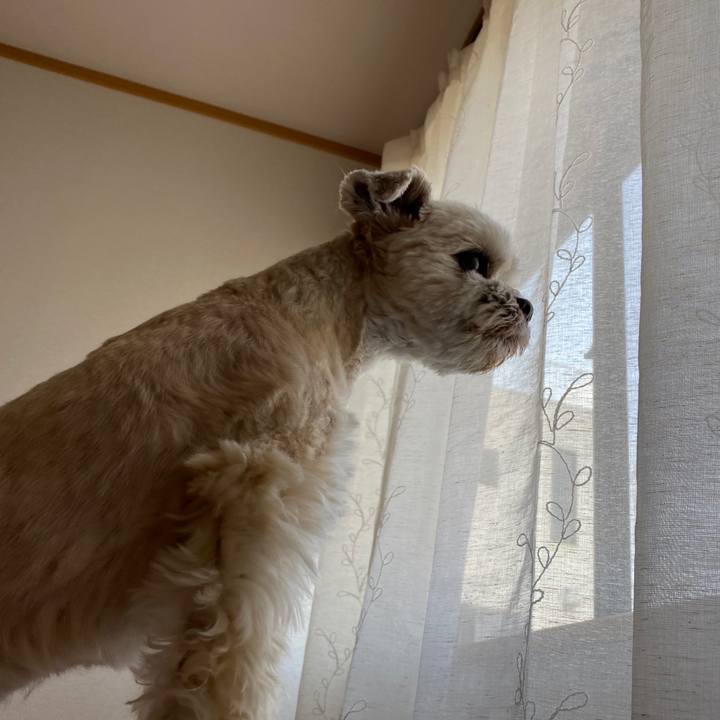 7588bca7 5eee 4a0c aeca bd0defefeb71 1588389838779