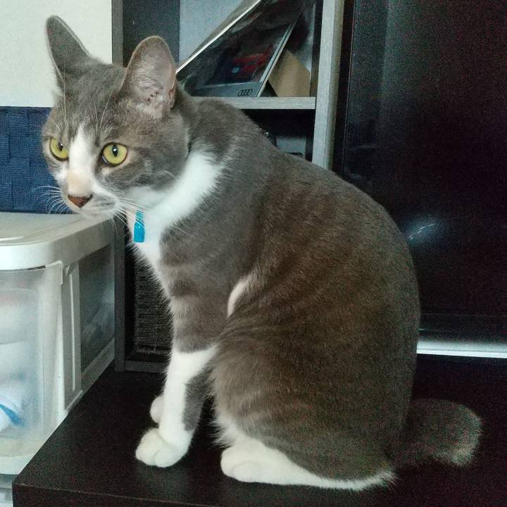 7588da11 7a97 4217 97fb a12d8fc1b9a6 1596683442679