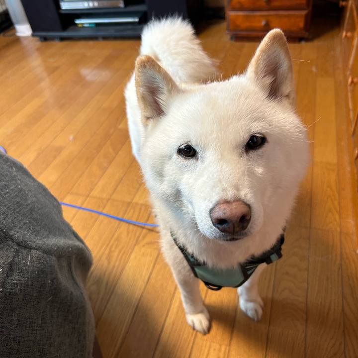 7588fb50 e8ec 451c 8864 6cabc77abfbe 1687483010288