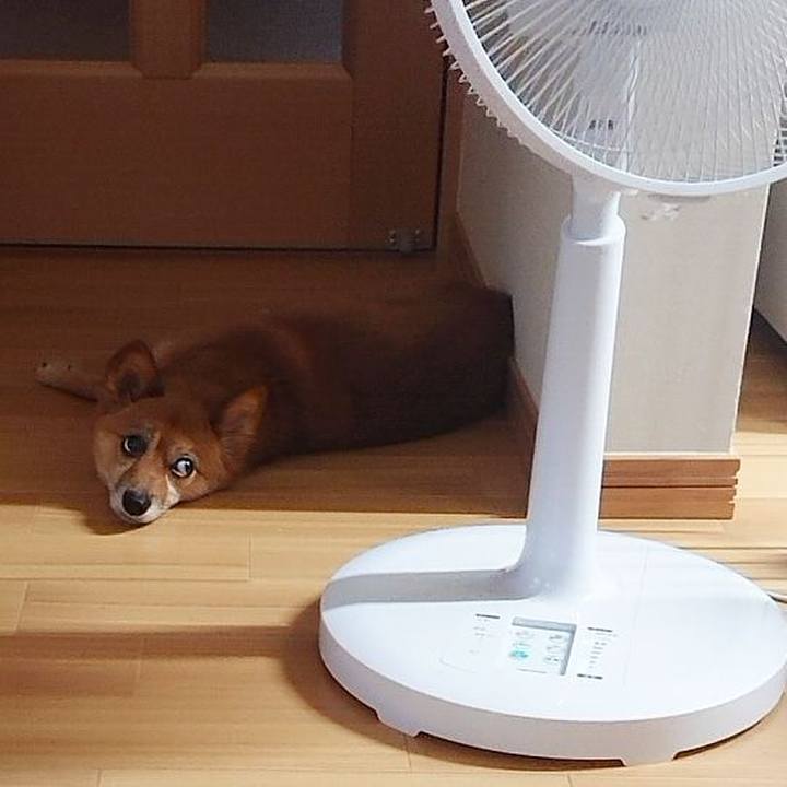 75891367 eed7 4632 93db 1382b9ebf16d 1594461739732