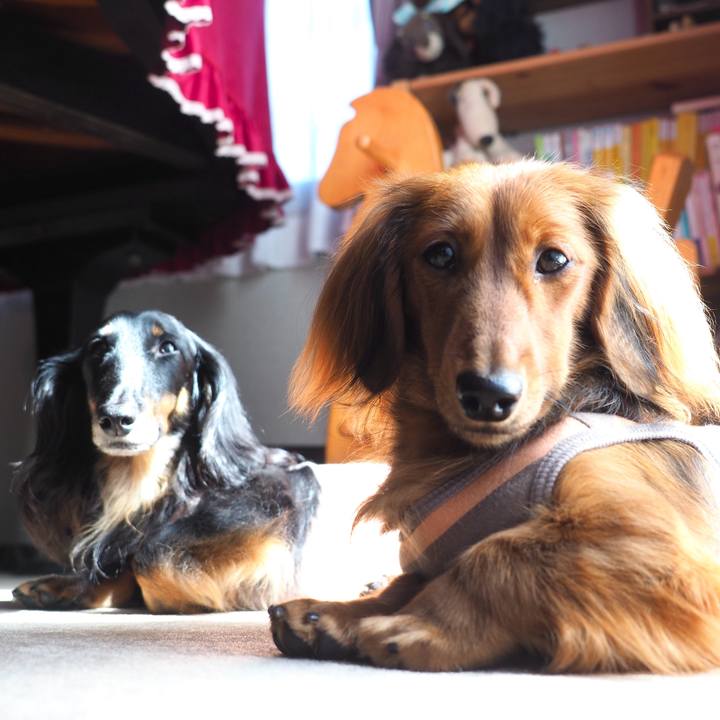 758929ed bfe6 44c8 8eba 45893ea314db 1729145250600