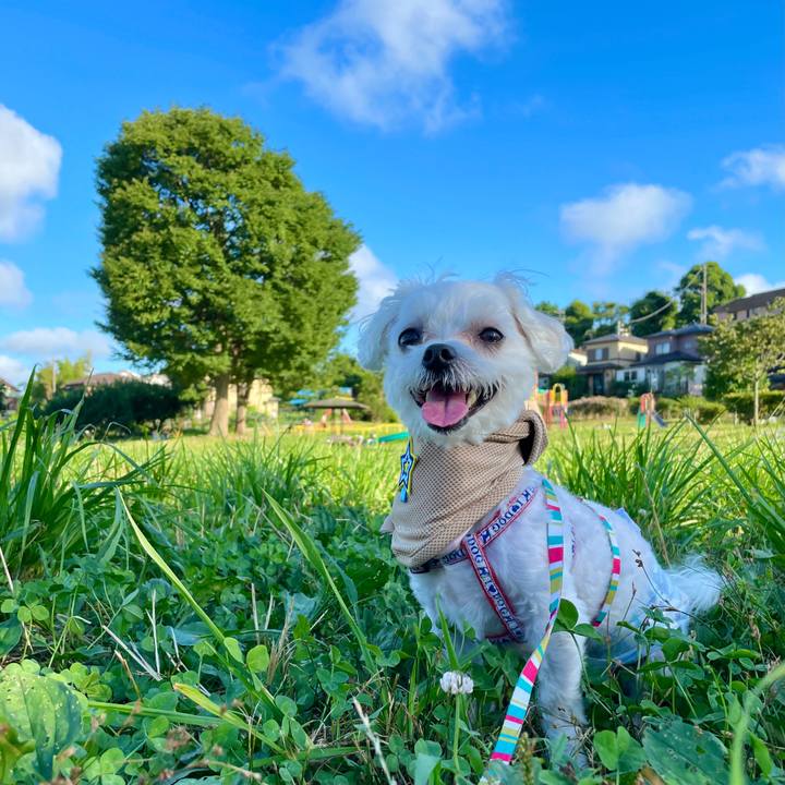 75894707 6493 4fa6 b797 8cb9326b936f 1626665979576