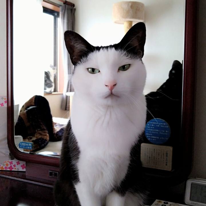 75895fc5 7473 4631 a309 bf50d9224db2 1602989795053