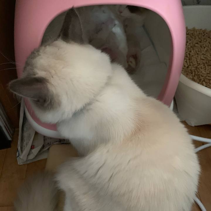 75897157 1a6b 4752 b802 a599f1169848 1638143292376