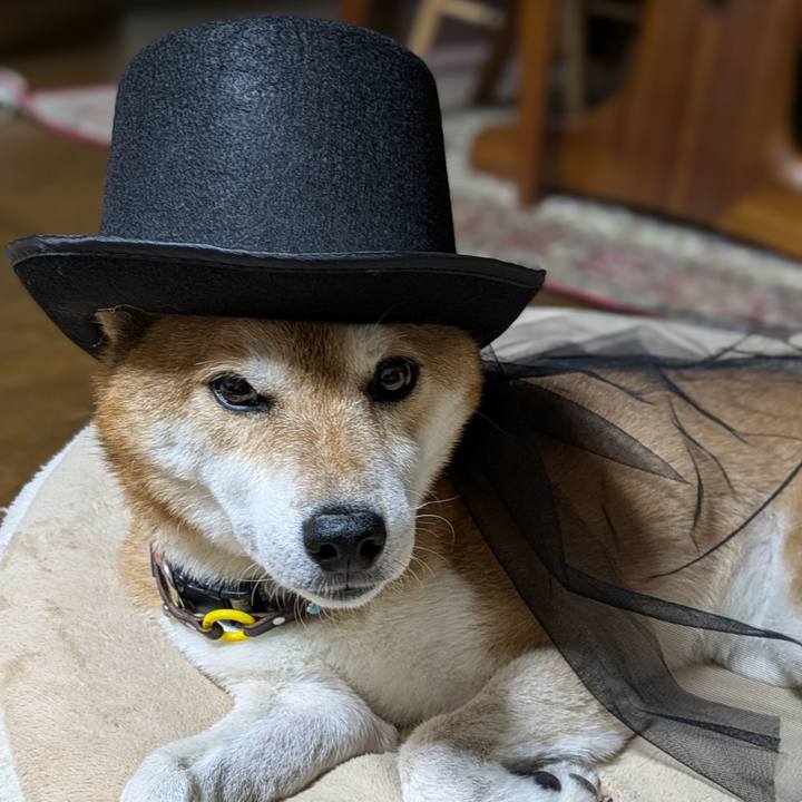 7589715a 563c 4e34 8627 6febc4ef1d91 1725838732154