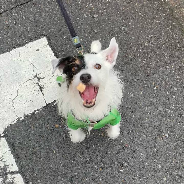 75899118 0940 46b9 9f3e 31787c071546 1657670218667