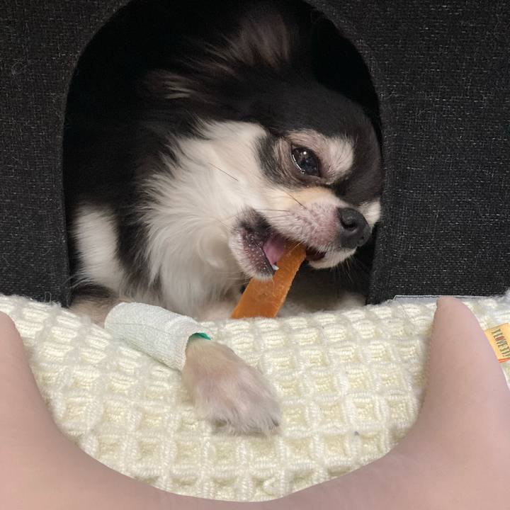 7589b046 7231 4545 b920 9d7c412a2205 1659238647150