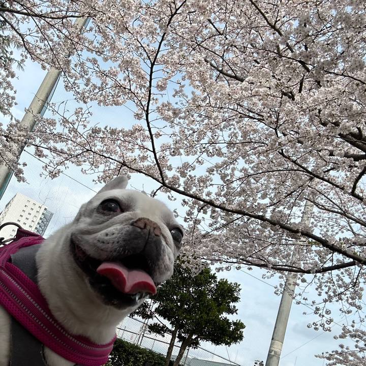 7589c0ec 5a78 4906 98aa f6d2b94120d4 1712570907717