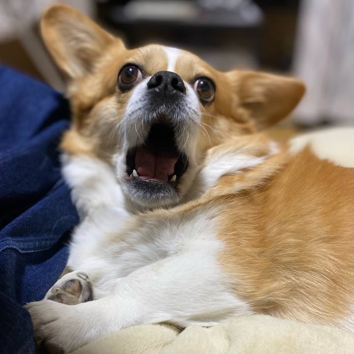 7589c488 f289 4d40 babd ae86166e54c7 1742044969030