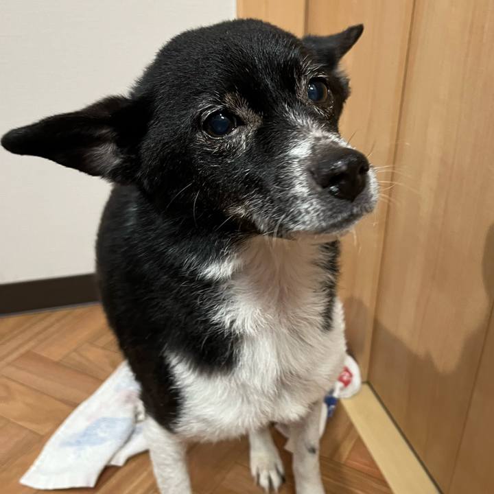 7589c75b f671 496b 8401 c020170a3262 1704716809957