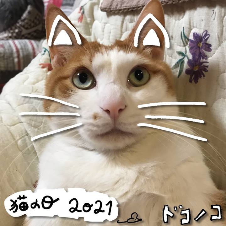 758a128e dd12 465c 8914 fc5b2c0eef78 1613992764634