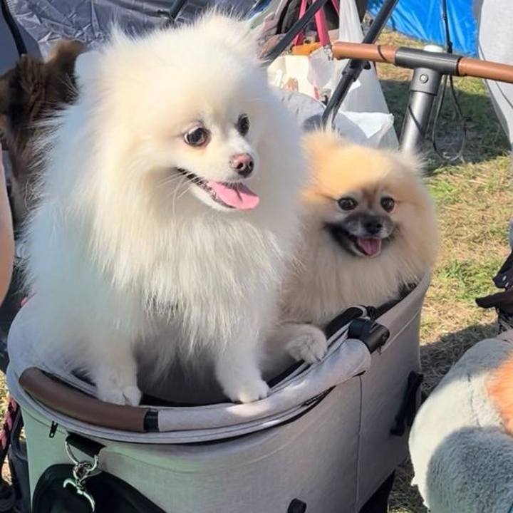 758a31b7 b879 4e7e a7aa 75f1c3442847 1729473987098