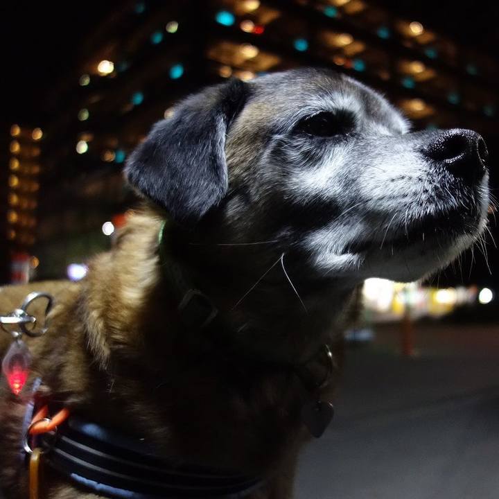 758a6df8 dbd5 44e5 b278 aa8d39c3e74e 1515321538276