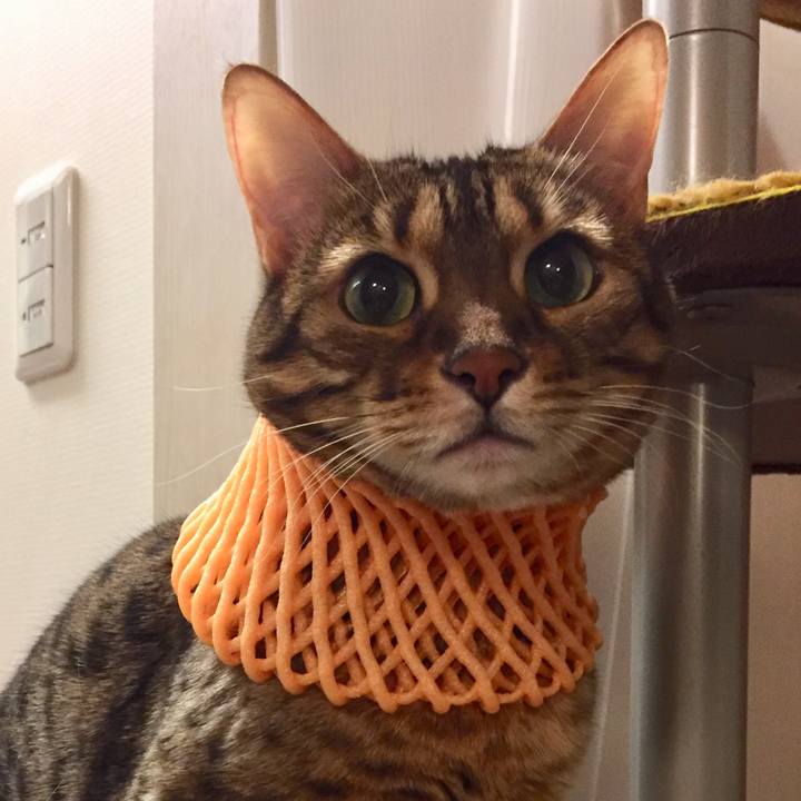 758ab073 79a7 4e41 a363 11d60e5732ff 1520998989927