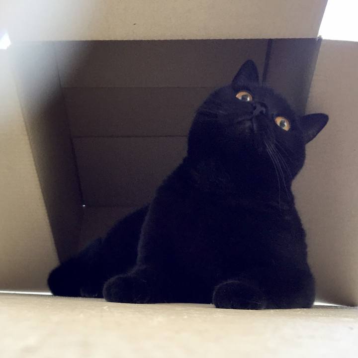 758abb86 5e62 4920 b833 350fc7cea3bf 1557699939061