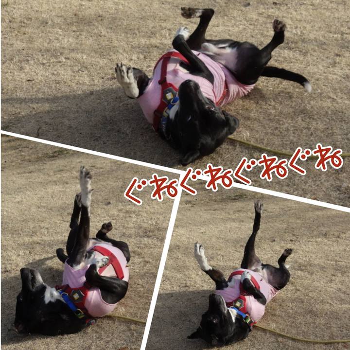 758aced6 26f4 452d 8ffd 442ad21bdd38 1676422961353