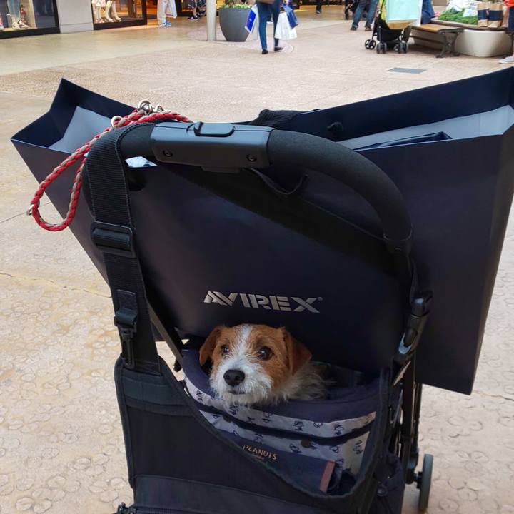 758ae0f5 02df 4379 ae8f 129c815f5dde 1558170115190