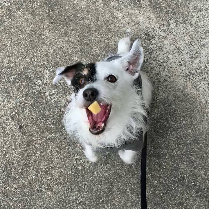 758af9b4 70d7 468c 8b15 0983ecaacf6a 1714004872684