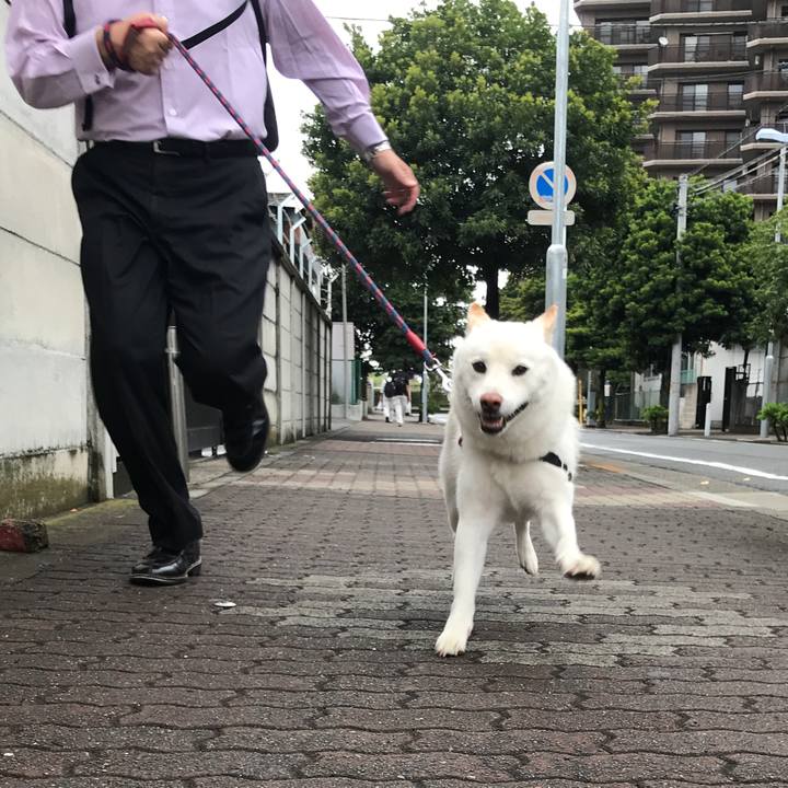 758afb95 f597 4ae2 a585 8589ad010f81 1535069950058