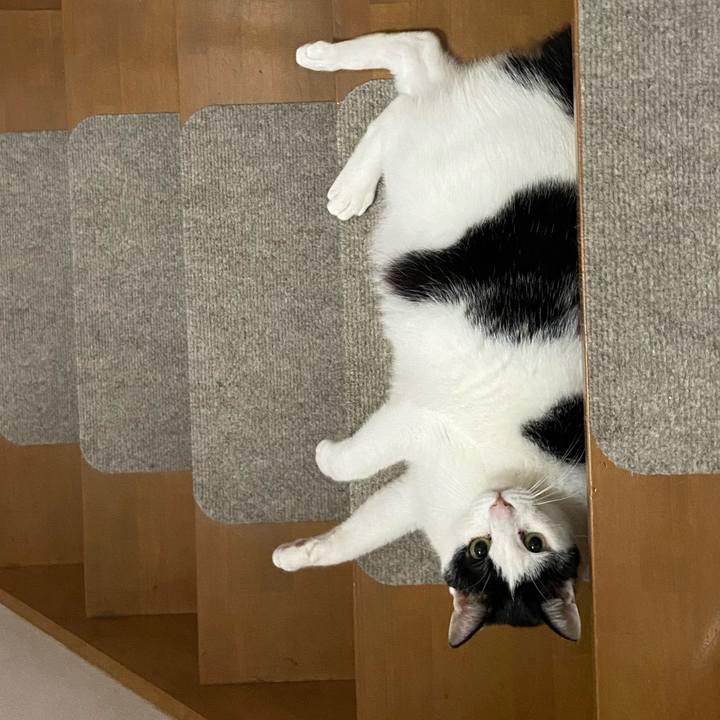 758b1f97 6351 4e4d 89d3 b58310265f17 1584862476117