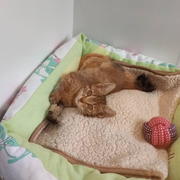 758b243c 85ad 4073 85c1 238f48c036d9 1568461409035