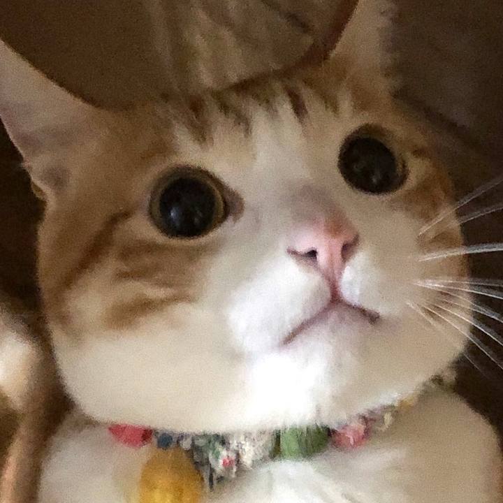 758b2779 5938 49c0 8c61 471b9d60e1ba 1574508062259