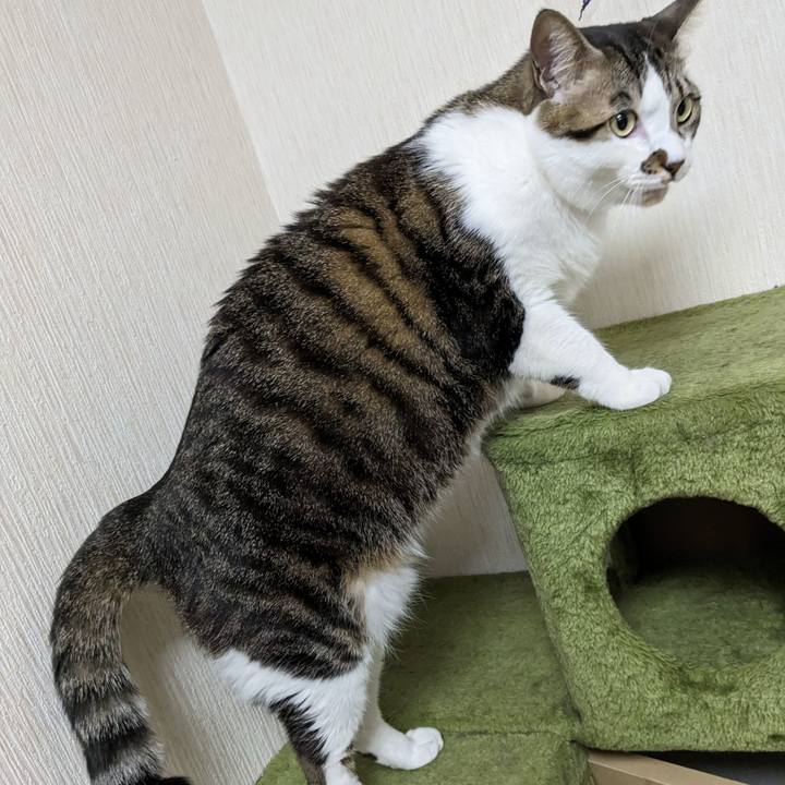 758b366f 126f 40bd 84dd 5cd1be1cc9a1 1675945485986