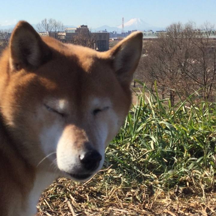 758b6bd5 e040 48d8 8d41 ac065bdc37df 1610524681239