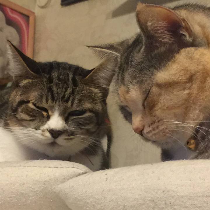 758b9ab4 0335 431d b308 5bc0557dcc7d 1548344427306