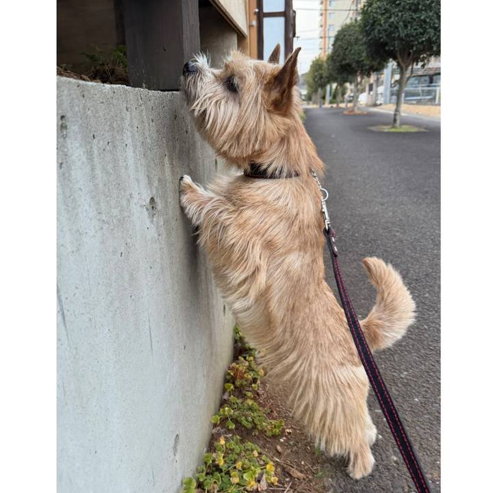 758be3a1 2bb3 4aa6 84a9 b6a4d56fc27b 1771898830374