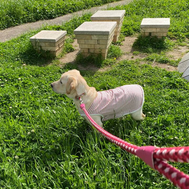 758c1143 a423 4f6f b9c0 b91d508af7b6 1618183371912