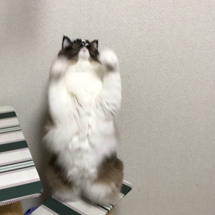 758c2065 0633 48fa 916b 121c5551cc43 1519655708414