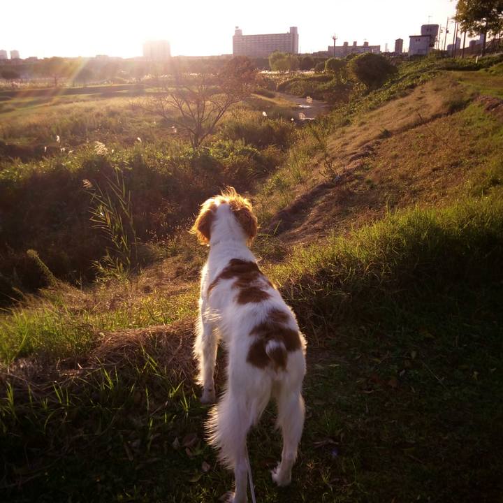 758c44c9 69ea 4351 9cc4 50404af221ef 1510576807170